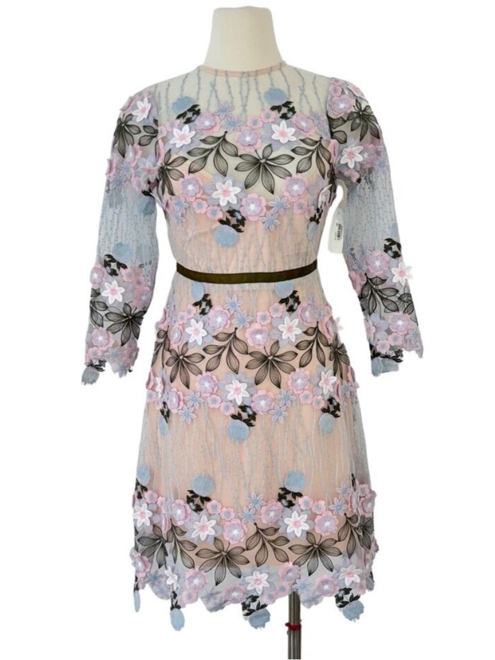 foxiedox Pastel Pink and Light Blue Embroidered 3D Floral appliqué Mesh Dress